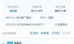 每日经济新闻怎么爆料,揭秘行业内幕，助力公众知情权